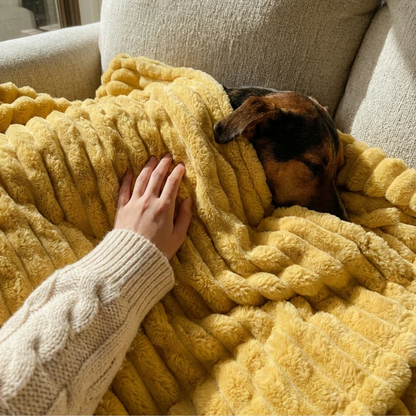 Emotional Support Blanket